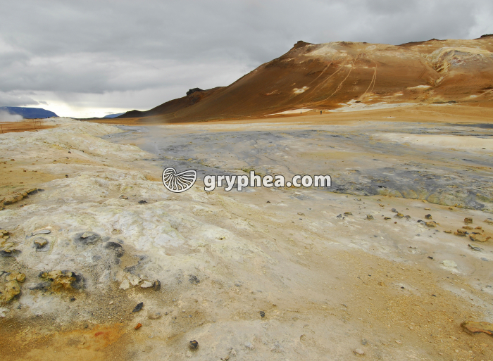 Solfatares Namaskard (Islande) - gryphea.com